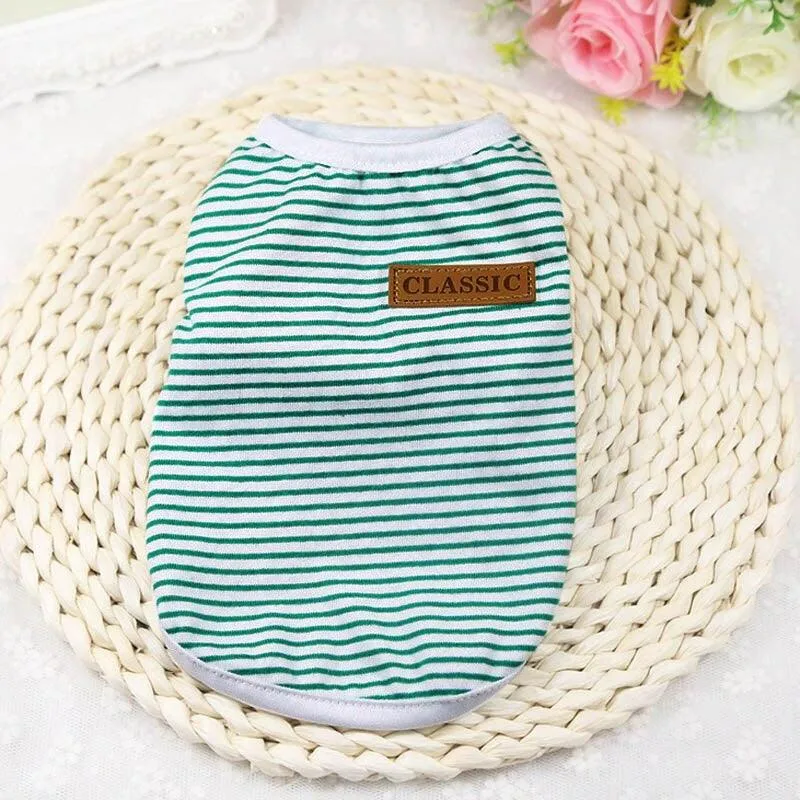Cat's Summer Striped Cotton T-Shirts