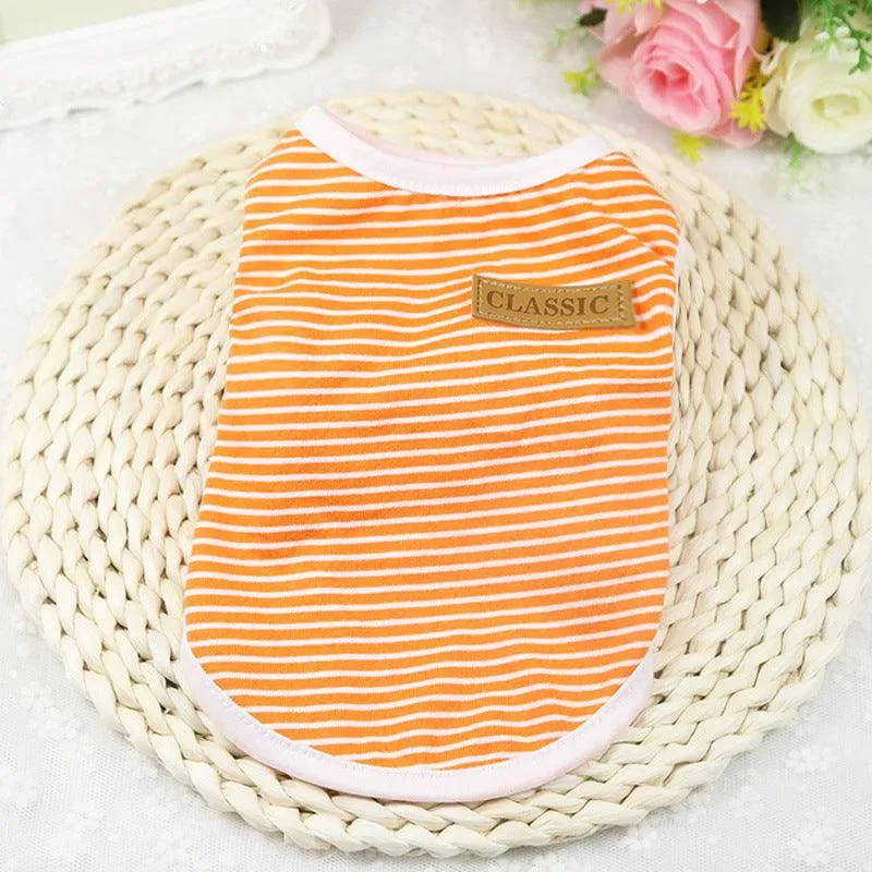 Cat's Summer Striped Cotton T-Shirts