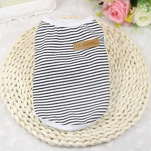 Cat's Summer Striped Cotton T-Shirts
