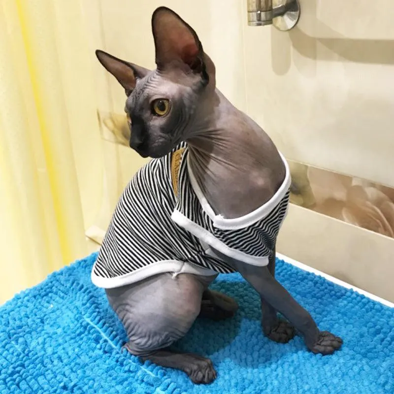 Cat's Summer Striped Cotton T-Shirts