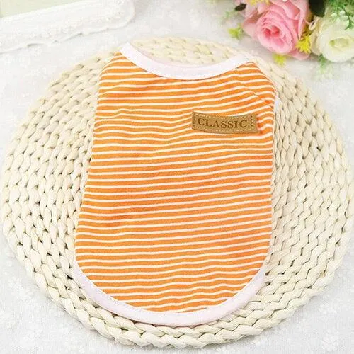 Cat's Summer Striped Cotton T-Shirts