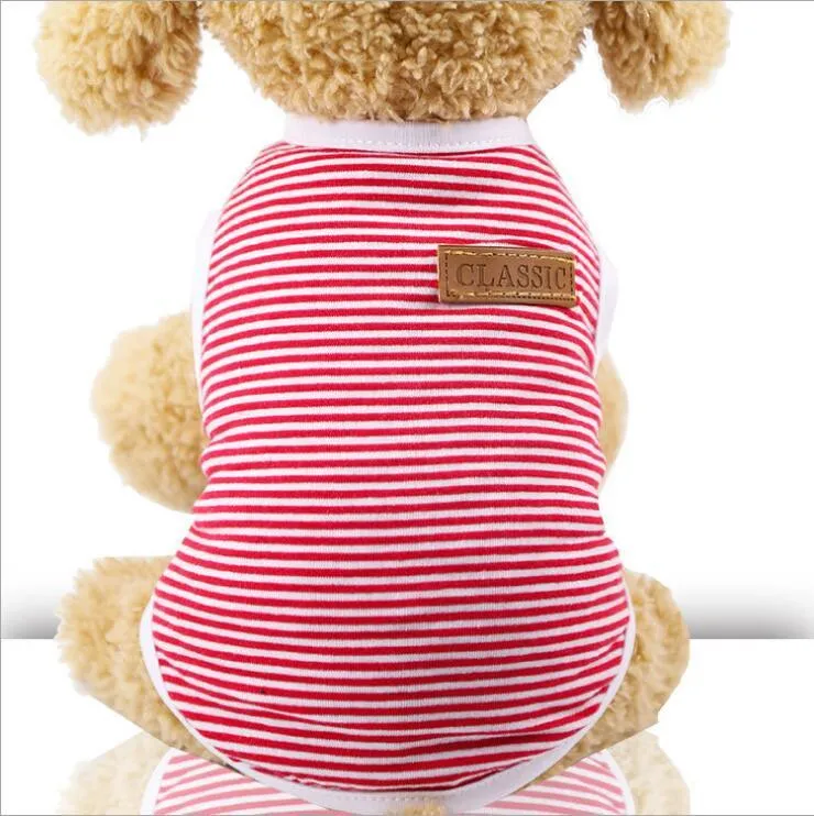 Cat's Summer Striped Cotton T-Shirts