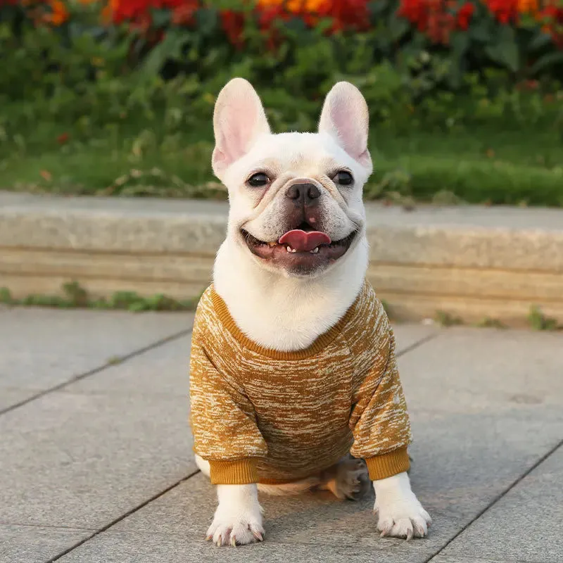 Winter Hoodies & Sweaters for Small to Medium Dogs