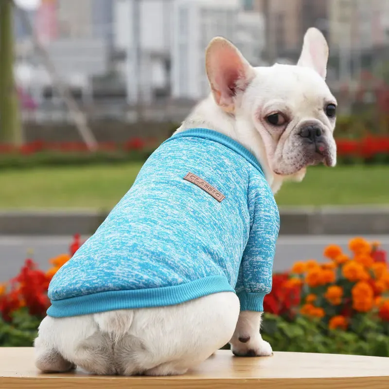 Winter Hoodies & Sweaters for Small to Medium Dogs