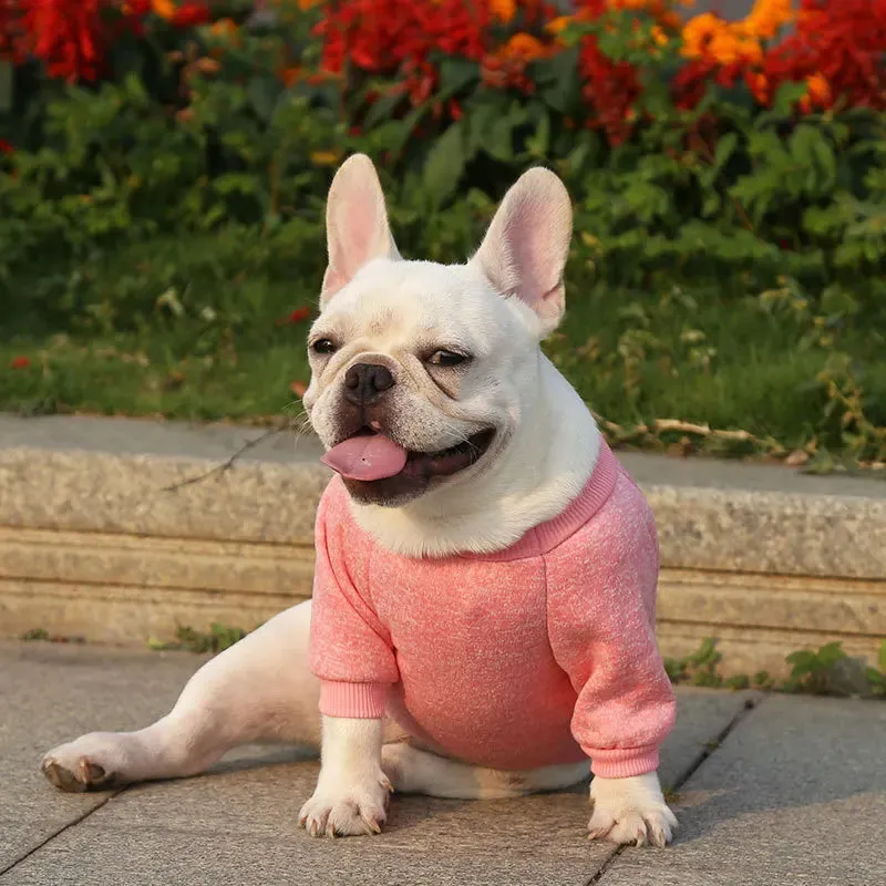 Winter Hoodies & Sweaters for Small to Medium Dogs