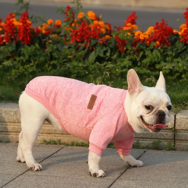 Winter Hoodies & Sweaters for Small to Medium Dogs