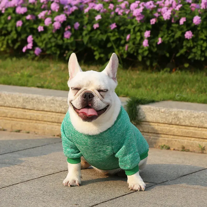 Winter Hoodies & Sweaters for Small to Medium Dogs