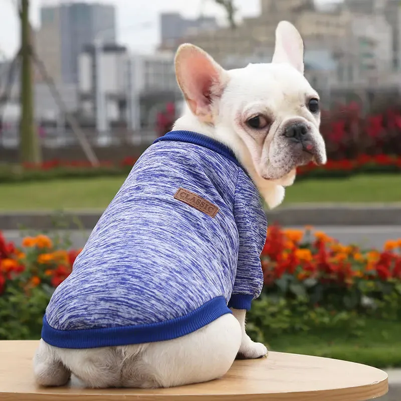 Winter Hoodies & Sweaters for Small to Medium Dogs