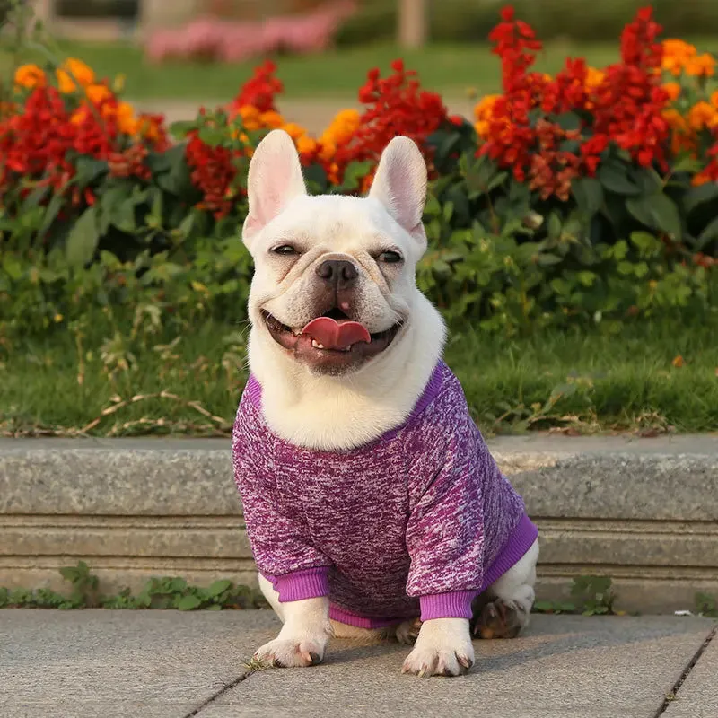 Winter Hoodies & Sweaters for Small to Medium Dogs