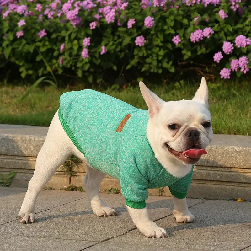 Winter Hoodies & Sweaters for Small to Medium Dogs