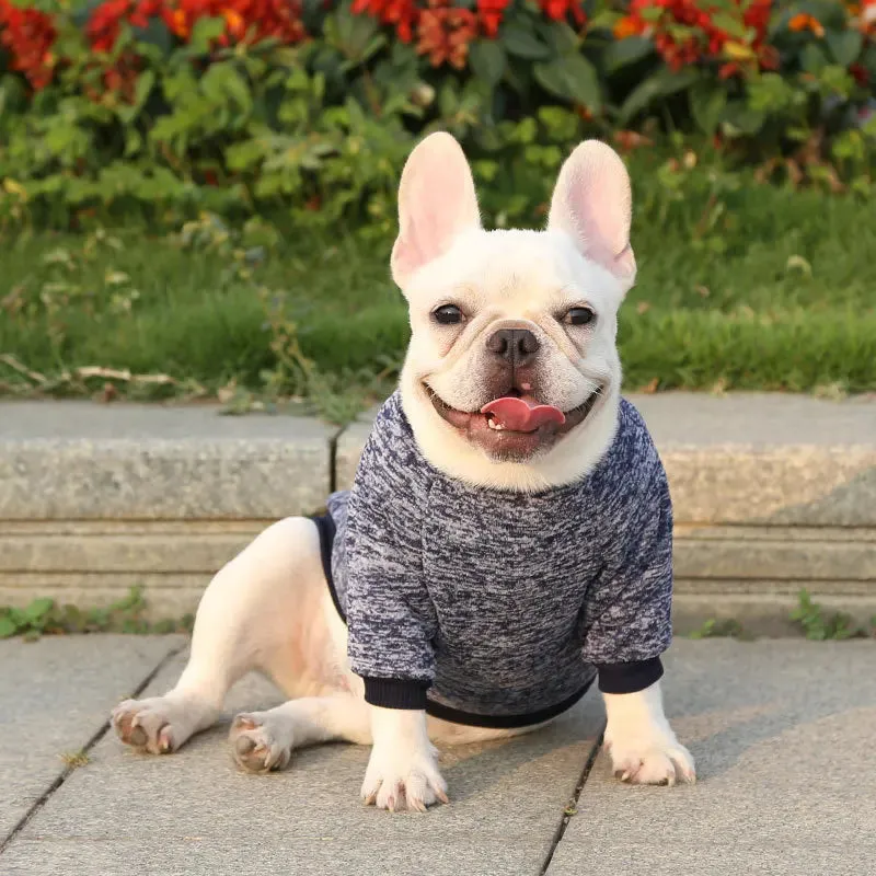 Winter Hoodies & Sweaters for Small to Medium Dogs