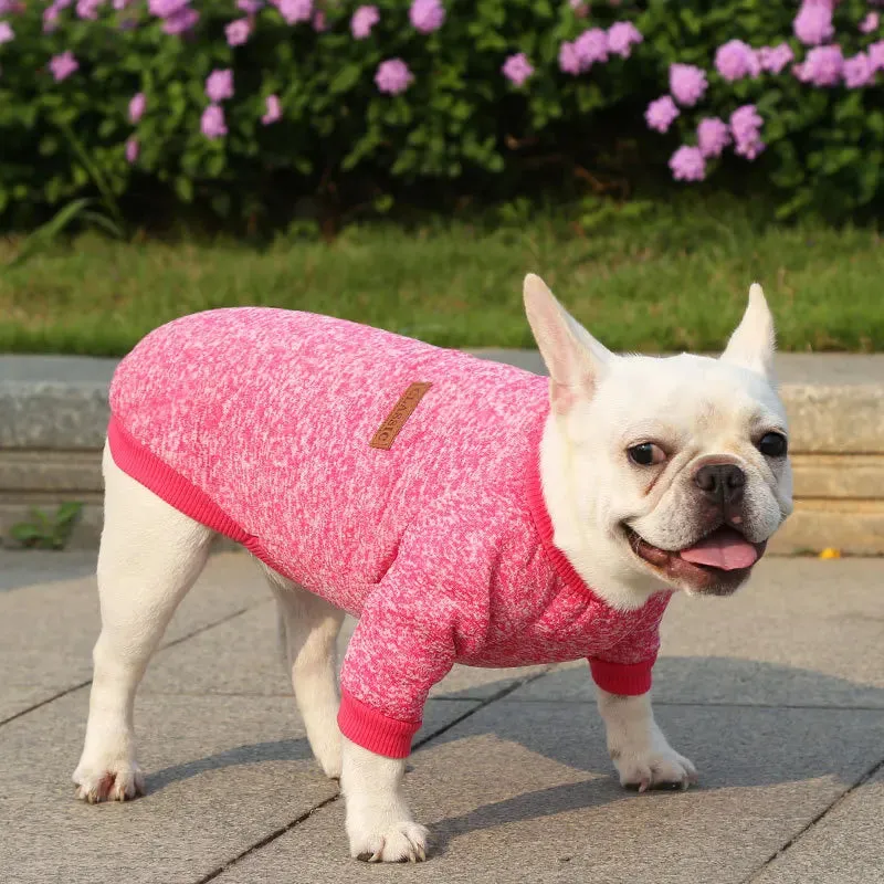 Winter Hoodies & Sweaters for Small to Medium Dogs