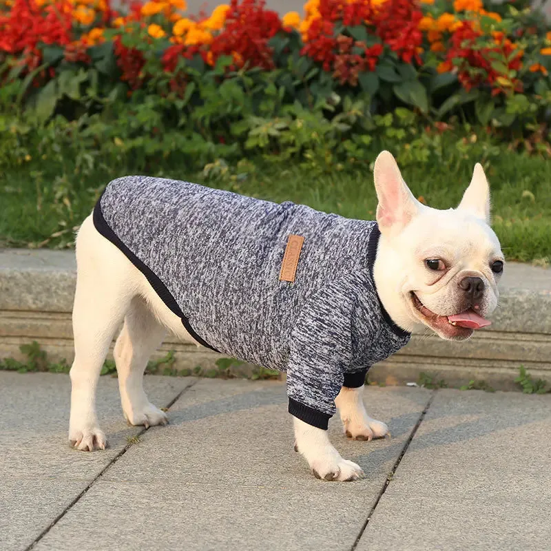 Winter Hoodies & Sweaters for Small to Medium Dogs