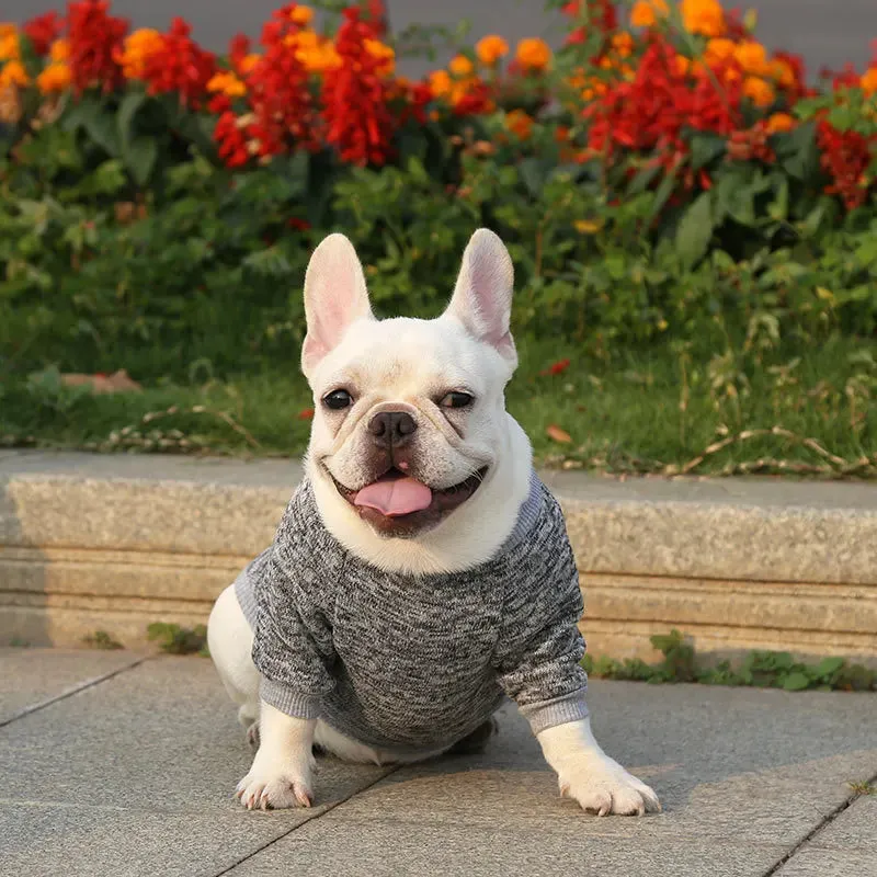 Winter Hoodies & Sweaters for Small to Medium Dogs