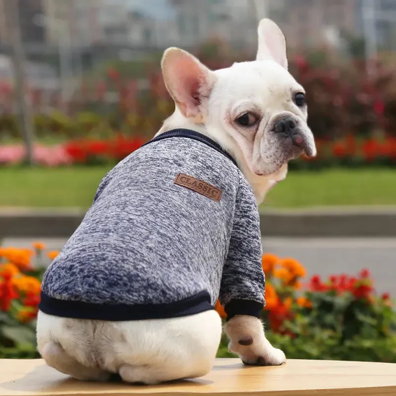 Winter Hoodies & Sweaters for Small to Medium Dogs