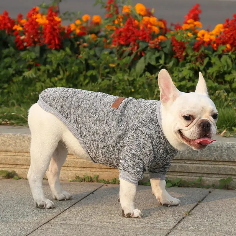 Winter Hoodies & Sweaters for Small to Medium Dogs