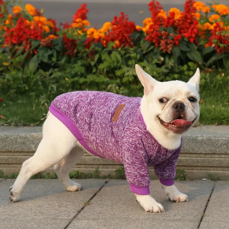 Winter Hoodies & Sweaters for Small to Medium Dogs