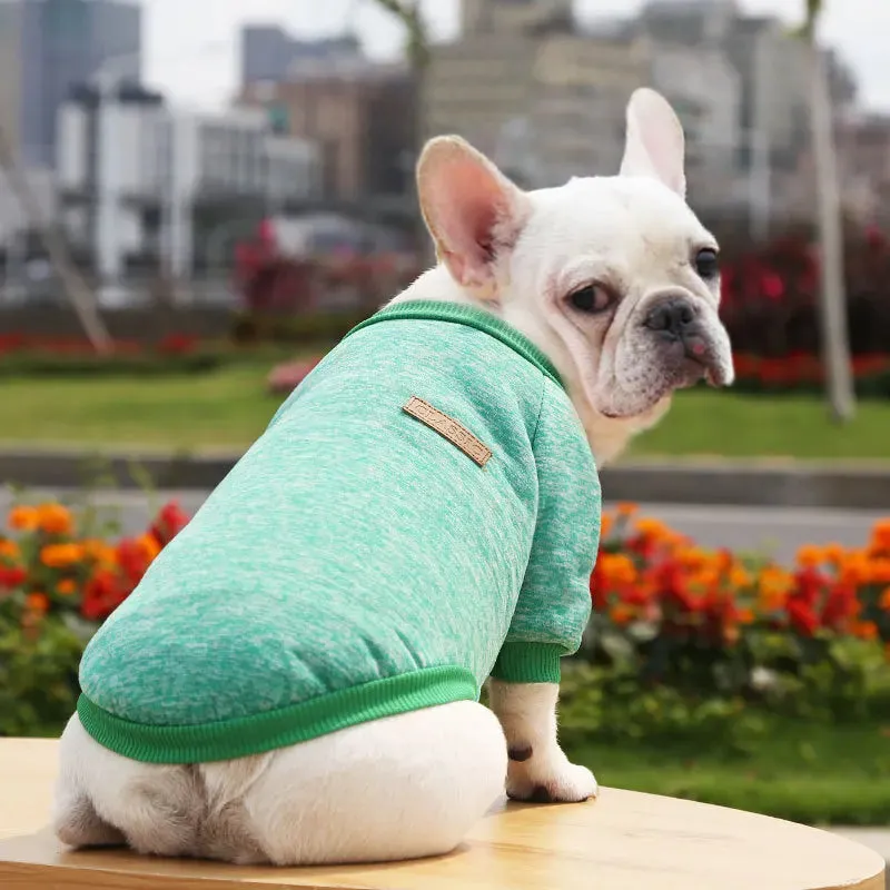 Winter Hoodies & Sweaters for Small to Medium Dogs
