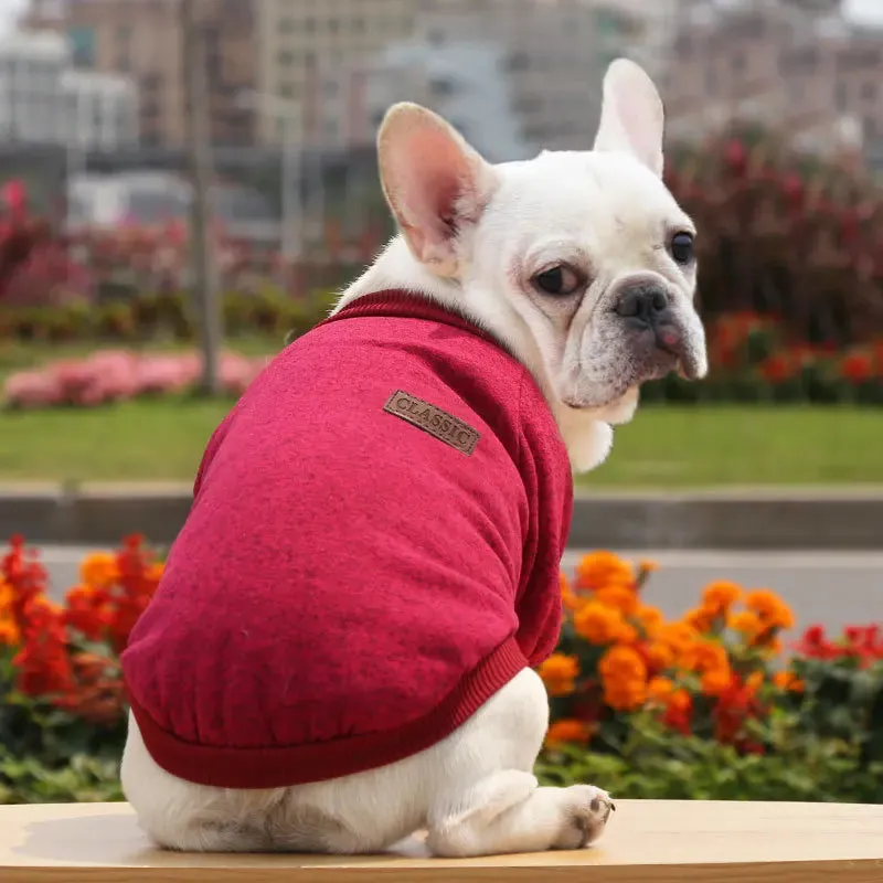 Winter Hoodies & Sweaters for Small to Medium Dogs