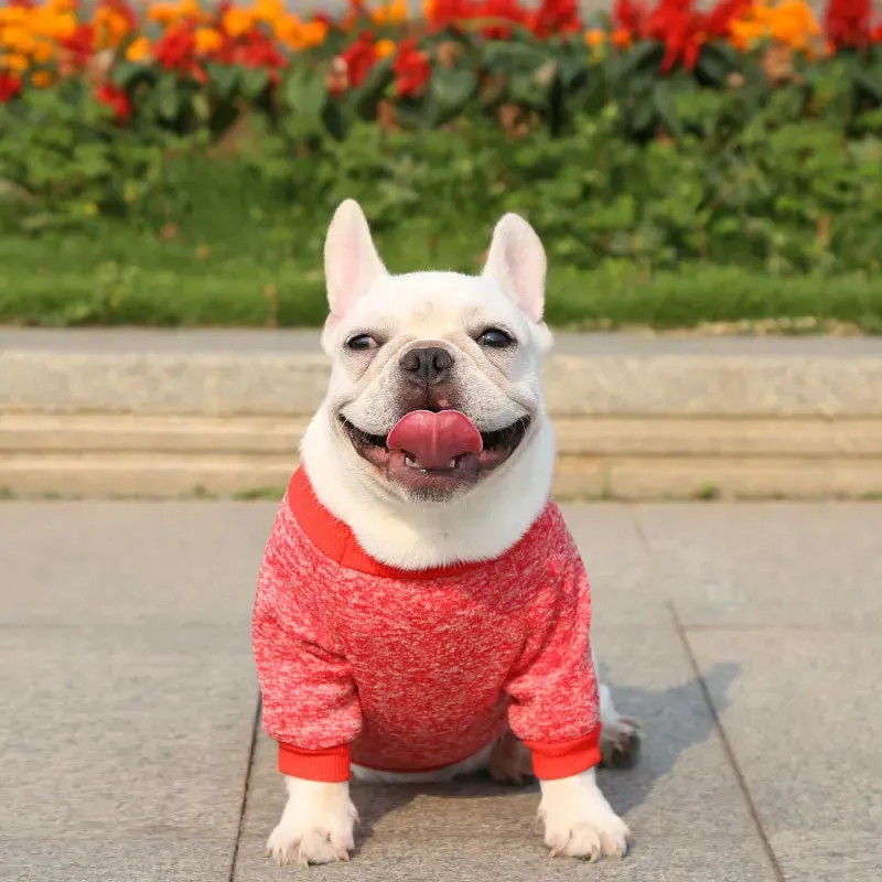 Winter Hoodies & Sweaters for Small to Medium Dogs