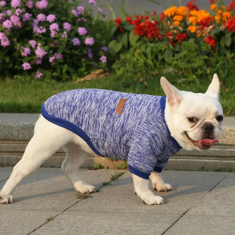 Winter Hoodies & Sweaters for Small to Medium Dogs