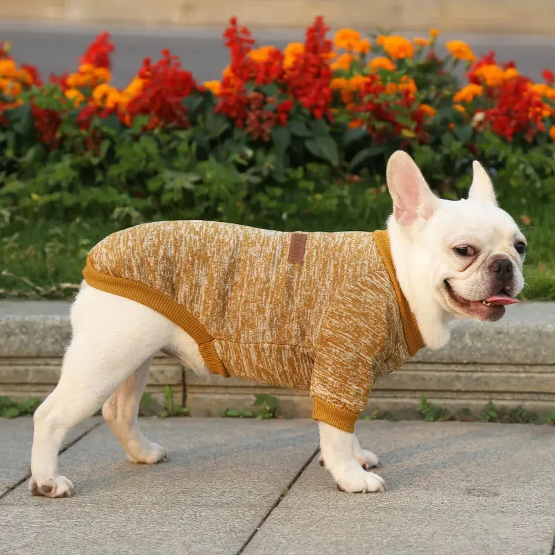 Winter Hoodies & Sweaters for Small to Medium Dogs