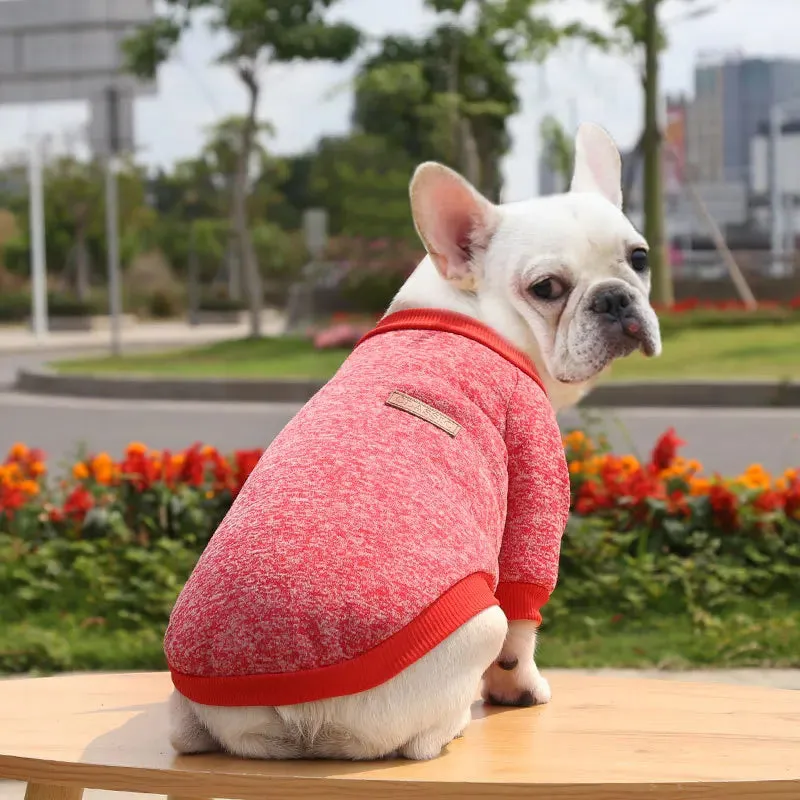 Winter Hoodies & Sweaters for Small to Medium Dogs