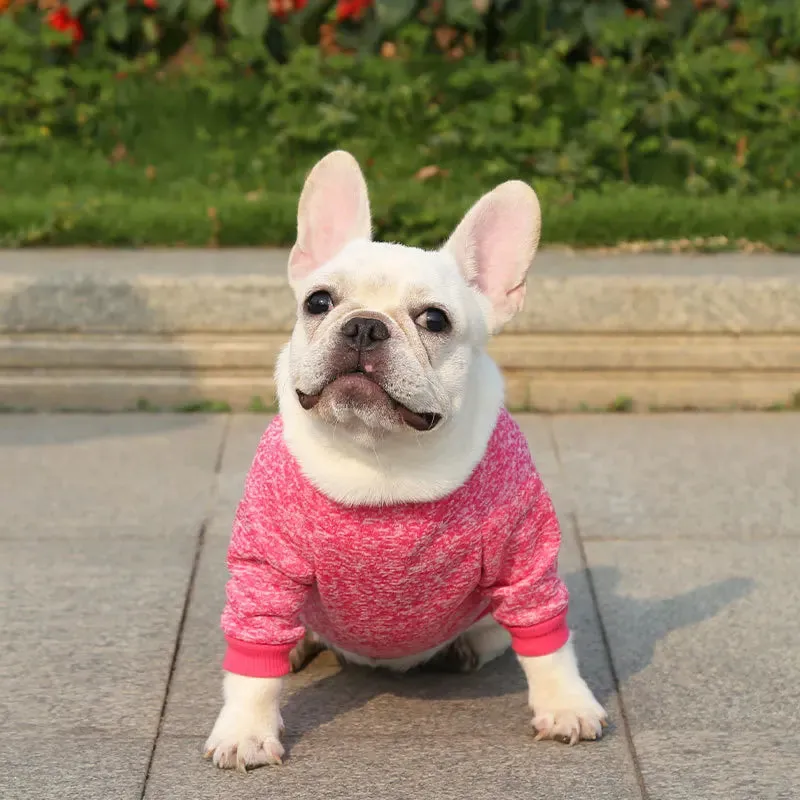 Winter Hoodies & Sweaters for Small to Medium Dogs