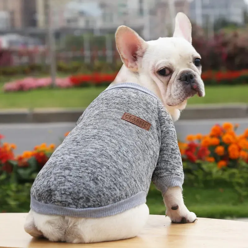 Winter Hoodies & Sweaters for Small to Medium Dogs