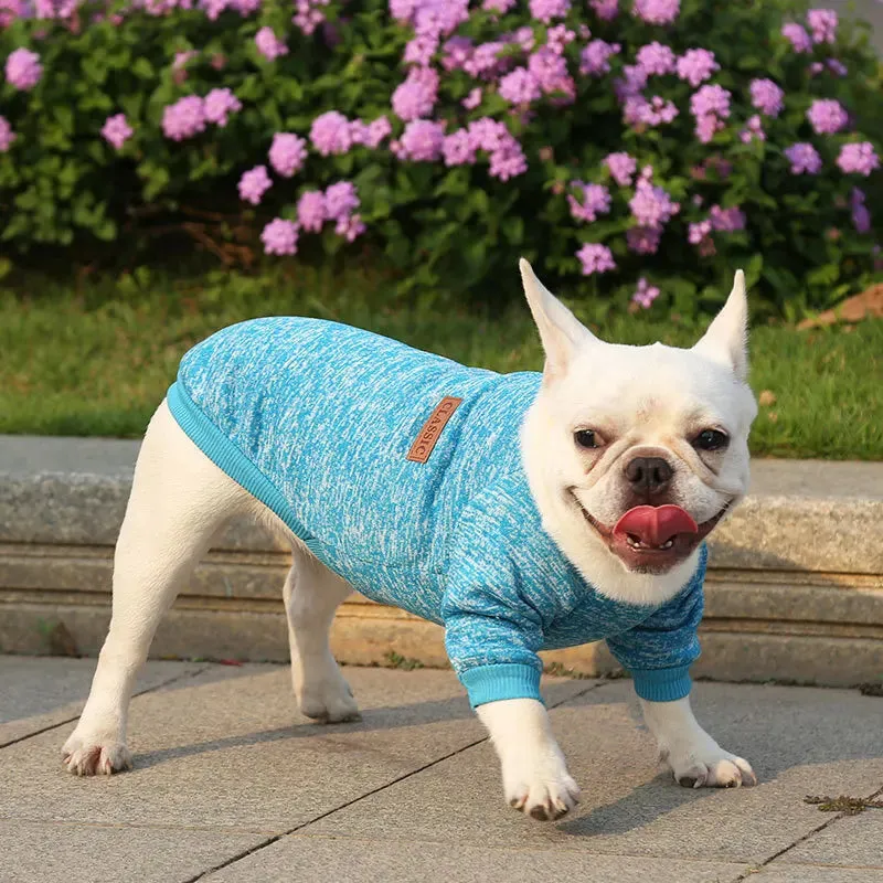 Winter Hoodies & Sweaters for Small to Medium Dogs