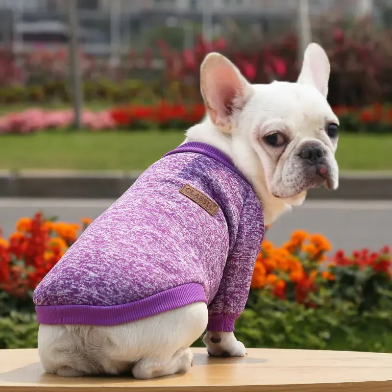 Winter Hoodies & Sweaters for Small to Medium Dogs
