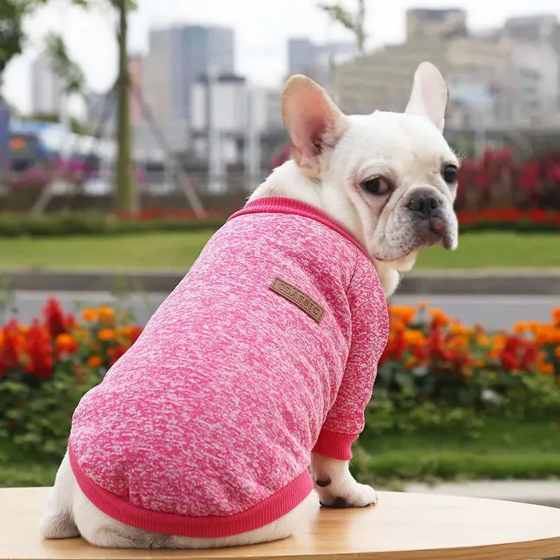 Winter Hoodies & Sweaters for Small to Medium Dogs