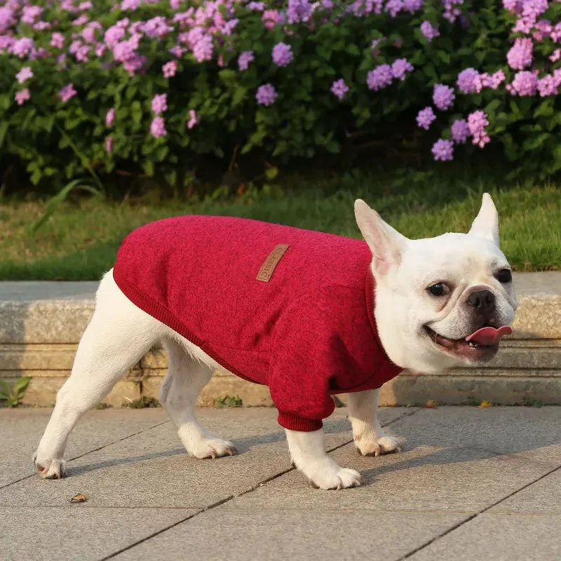 Winter Hoodies & Sweaters for Small to Medium Dogs
