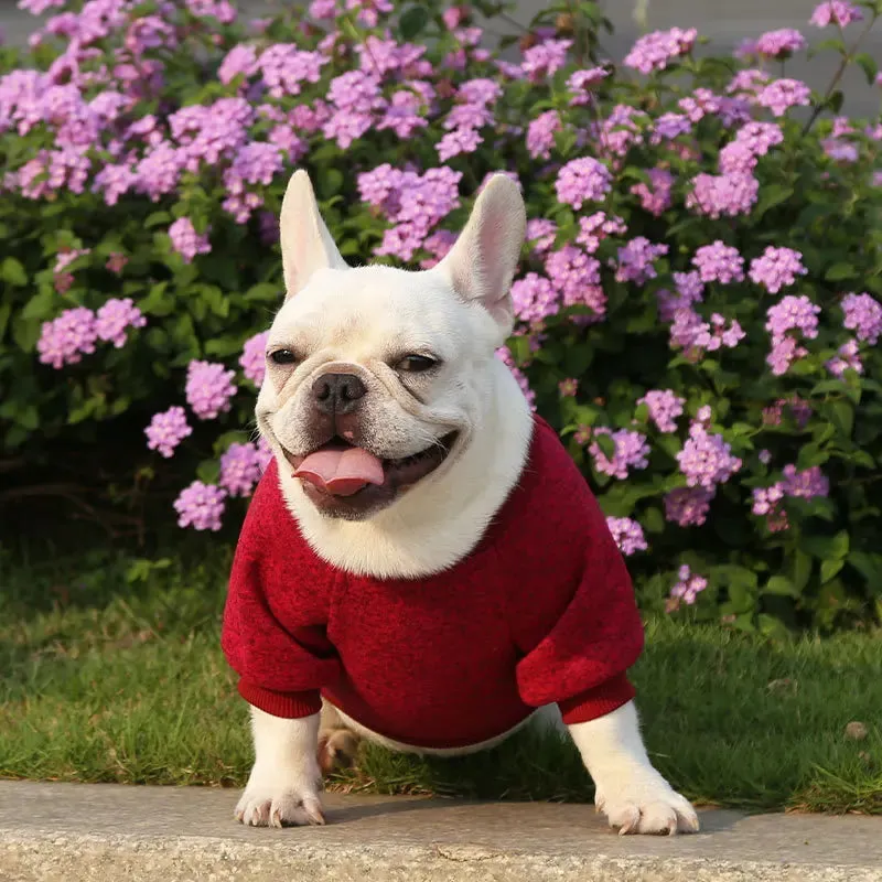 Winter Hoodies & Sweaters for Small to Medium Dogs