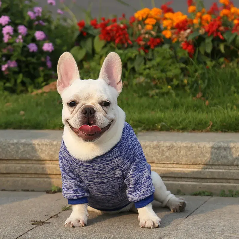 Winter Hoodies & Sweaters for Small to Medium Dogs