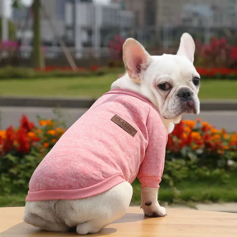 Winter Hoodies & Sweaters for Small to Medium Dogs